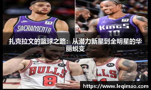 星空·综合体育官方网站