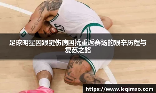 星空·综合体育官方网站