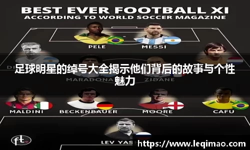 星空·综合体育官方网站