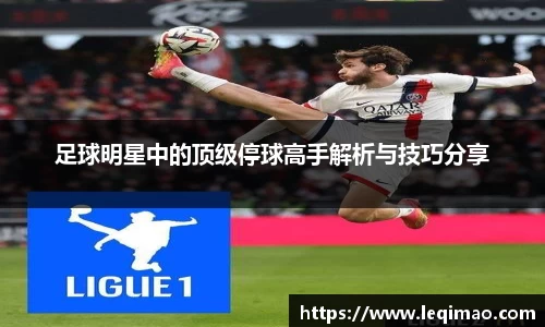 星空·综合体育官方网站